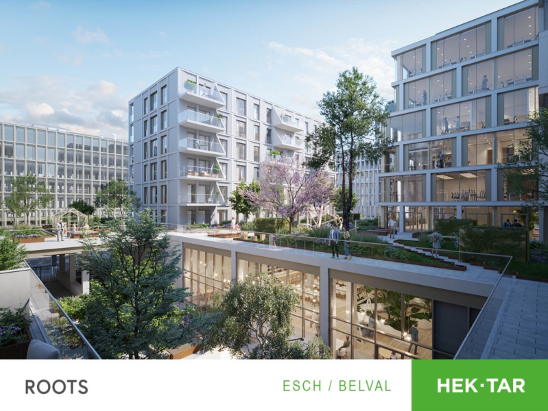 Image 7 : Agence immobilière à Luxembourg : Hektar Sàrl