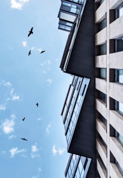 Image 3 : Agence immobilière à Luxembourg : Sedna Investments Services SA