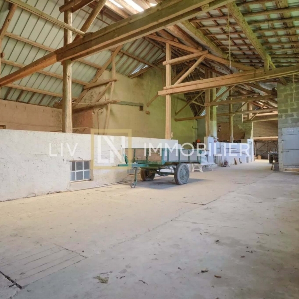 Image 5 : Agence immobilière à Mersch : LIV Immobilier