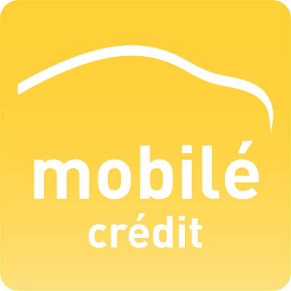 Image 9 : Assurance à Schuttrange : Assurances Foyer - Theisen & Associés - Agence Principale d'Assurances