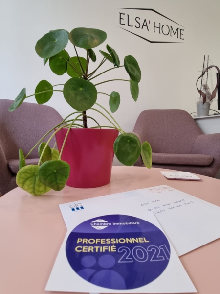 Image 2 : Agence immobilière à Esch-sur-Alzette : Elsa'Home Sàrl