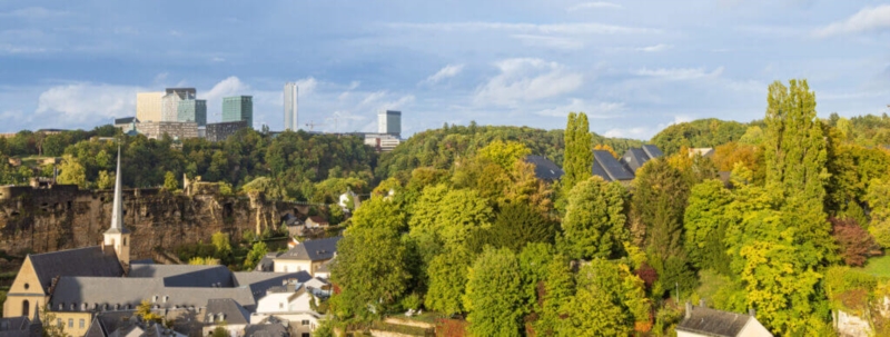 Image 3 : Agence immobilière à Rodange : Sagra Immo