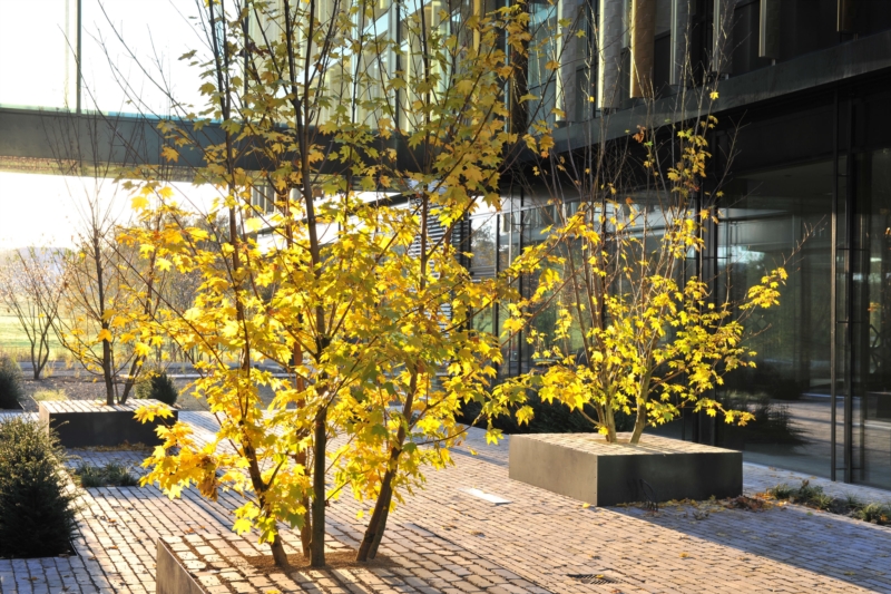 Image 7 : Professionnel de l'assurance à Leudelange : La Luxembourgeoise-Vie Société Anonyme d'Assurances
