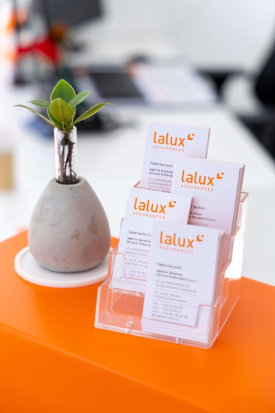 Image 6 : Professionnel de l'assurance à Esch-sur-Alzette : Geronzi & Biersbach