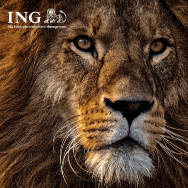 Image 4 : Fonds d'investissement à Luxembourg : ING Solutions Investment Management
