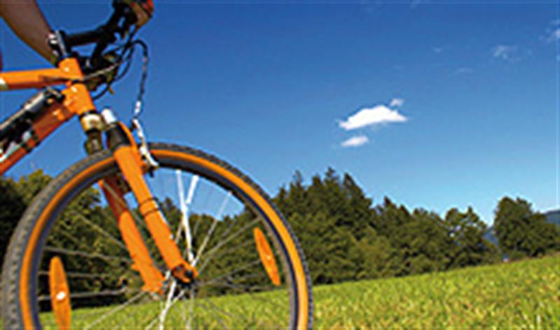 Image 7 : Agent d'assurance à Steinsel : Agence Claude Kapgen (Lalux)